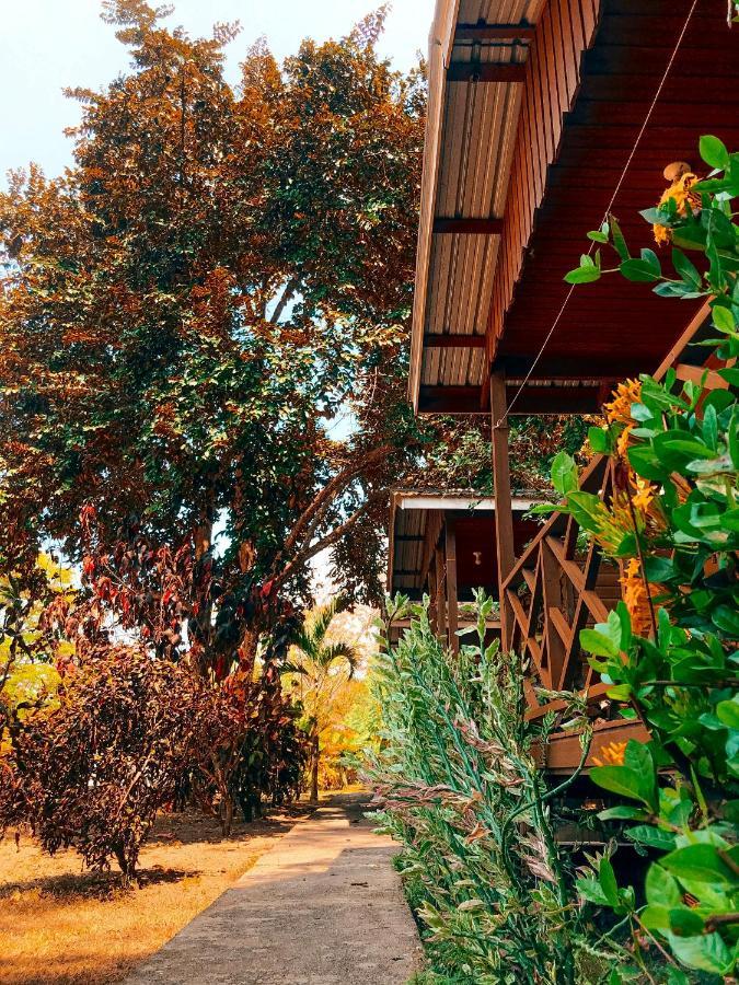 Mana Kai Camping & Cabins San Ignacio Exterior foto